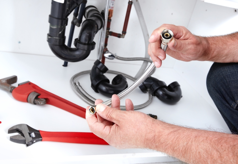 Toilet repair being carried out in Thornton Heath